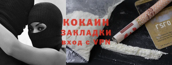 шишки Алексин