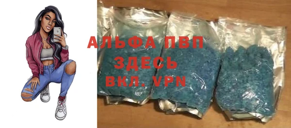 шишки Алексин