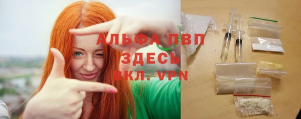шишки Алексин