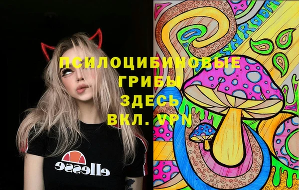шишки Алексин